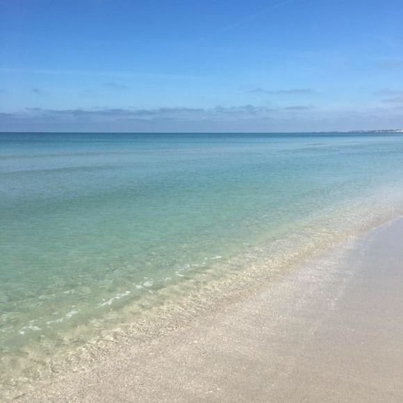 Meet your Posher, Michelle - Picture 1 of 1